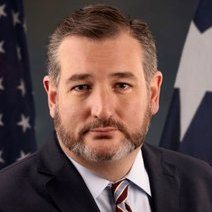 senator from texas smart wall